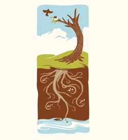 Memento Arbori