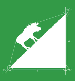 Hypotamoose